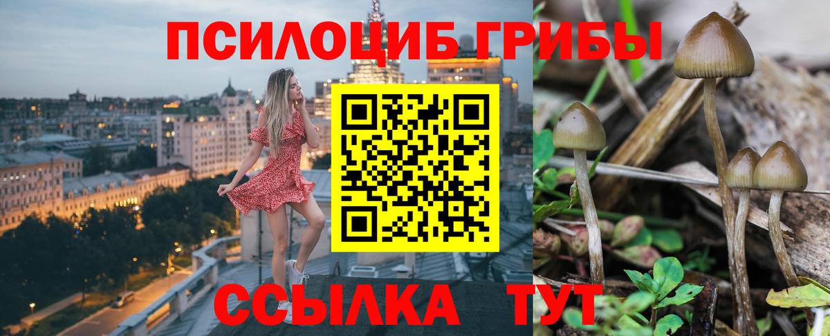 Псилоцибиновые грибы GOLDEN TEACHER Бутурлиновка