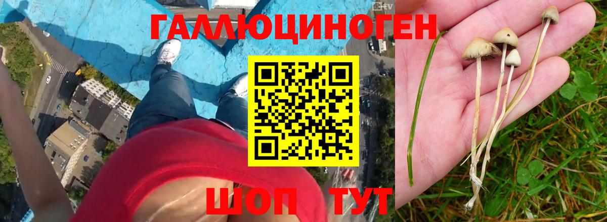 Галлюциногенные грибы мухоморы  Вход с VPN  Бутурлиновка 